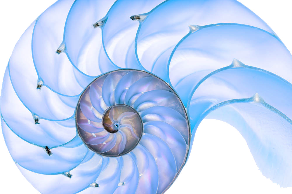 [Билл Вильямс] Подсчёт волн Эллиотта по системе Pr_0.jpg